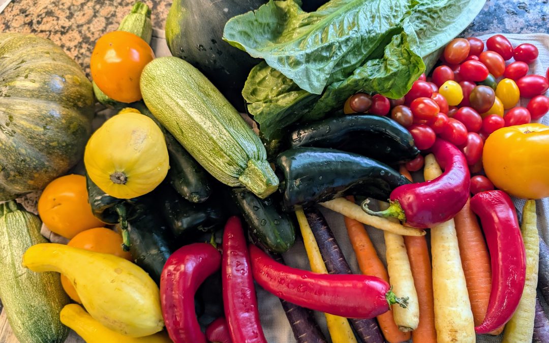 School Meal Funding Cuts